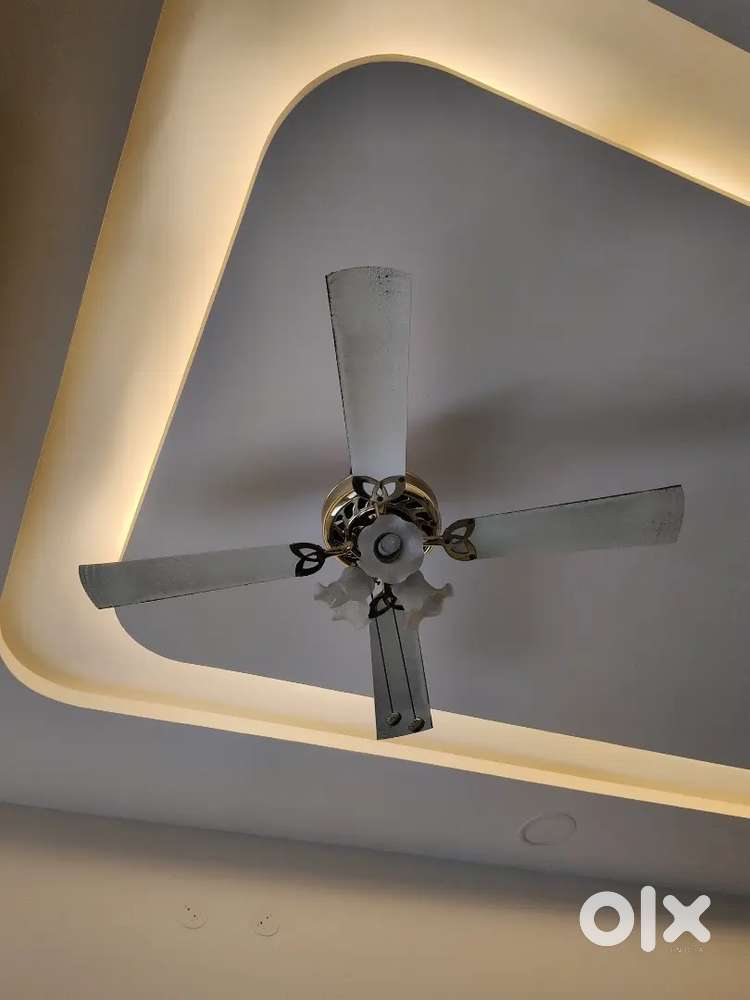Decorative ceiling fan
