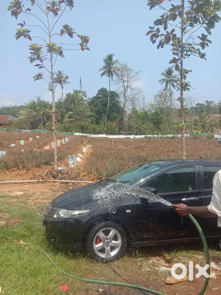 Honda City Dr Used...black Clour