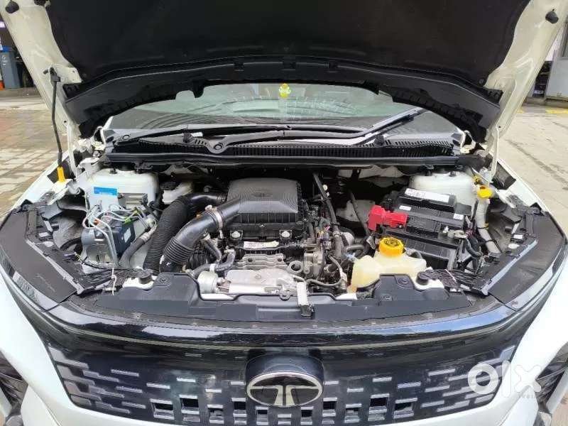 Tata Curvv S 1.2 Revotron Petrol 6mt, 2024, Petrol