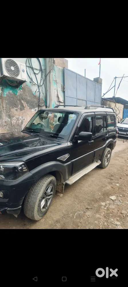 Black Scorpio