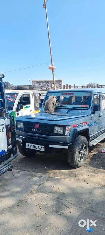 Force Motors Trax Cruiser 2011 Diesel 50000 Km Driven