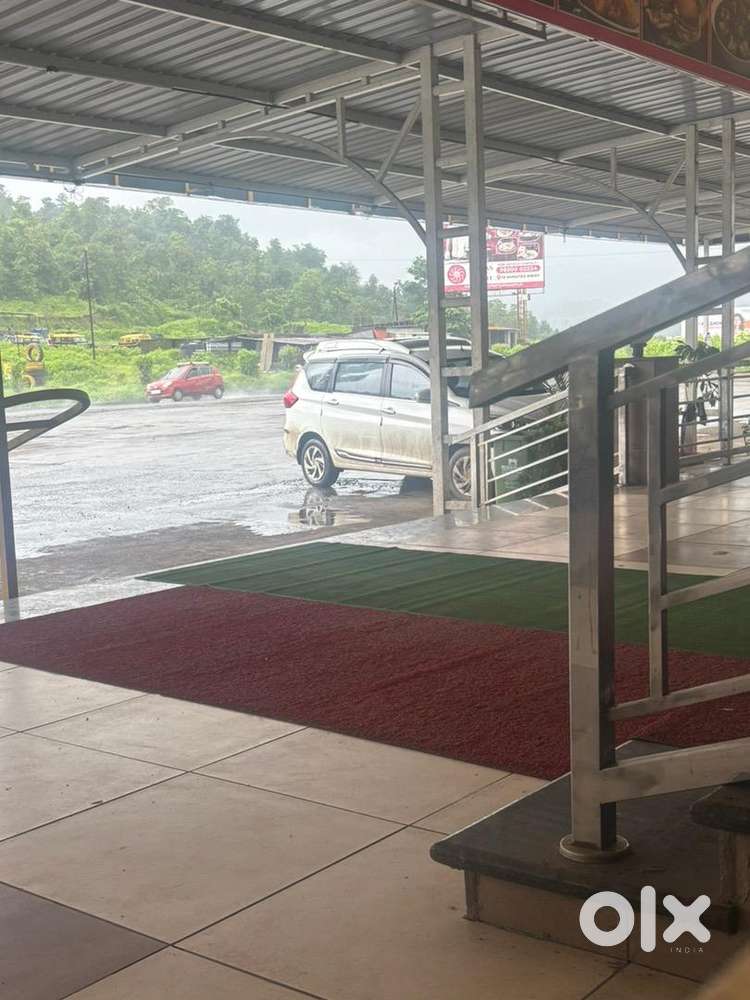 Maruti Suzuki Petrol 2024