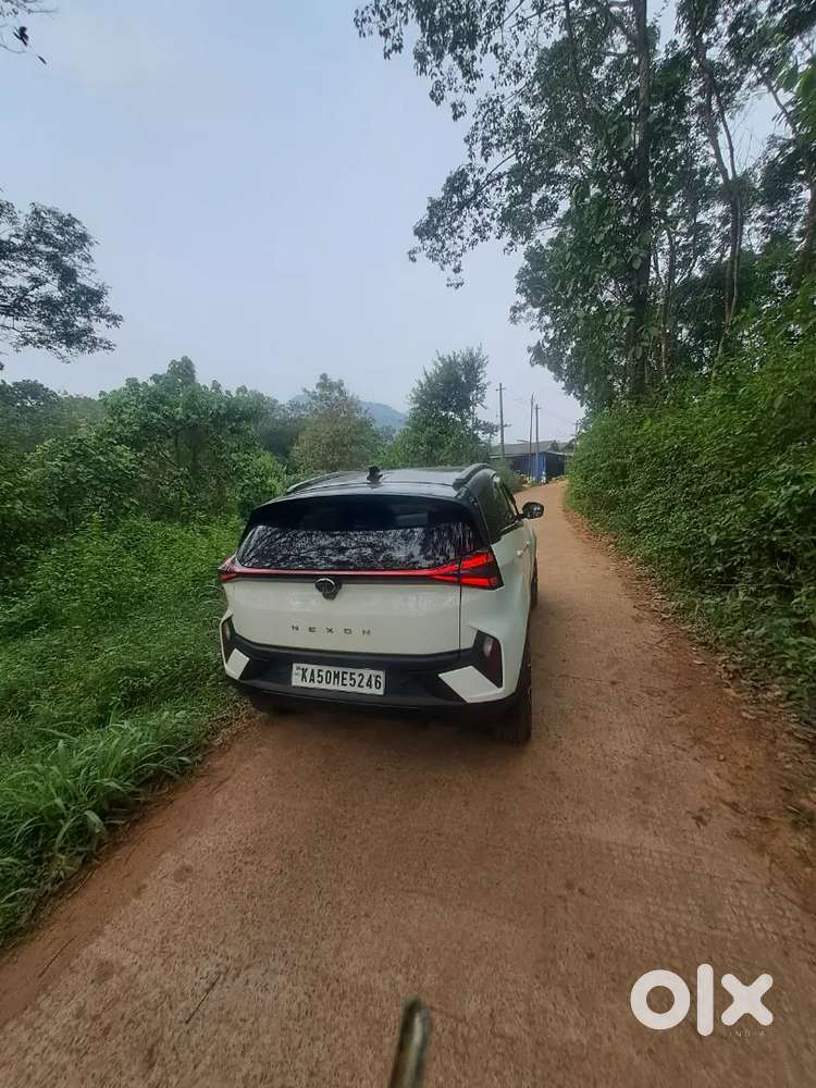 Tata Nexon Petrol 2025 Variant - Urgent Sale