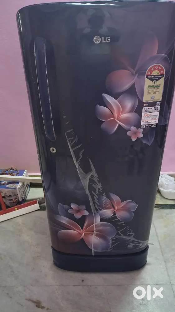 Fridge 2 years old