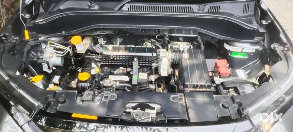 Tata Punch 2025 Petrol 14500 Km Driven