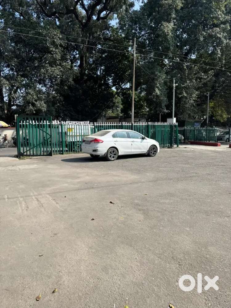 Maruti Suzuki Ciaz 2016 Diesel 87593 Km Driven