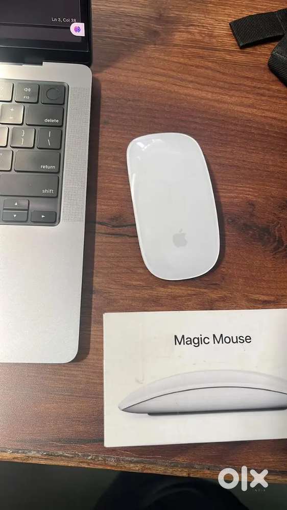 Magic mouse 2