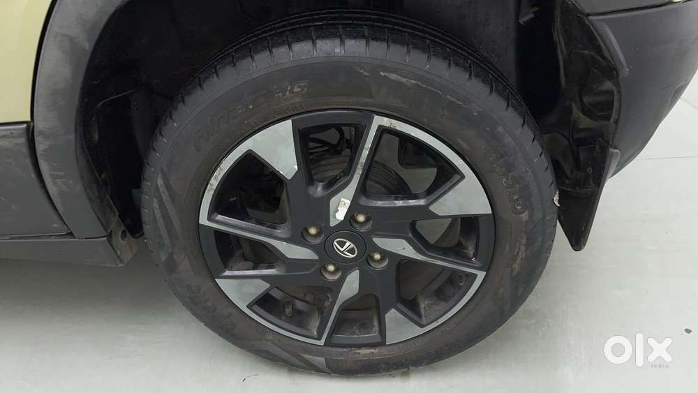 Tata Punch 1.2 Revotron Creative Mt Kaziranga Edition, 2022, Cng & H..