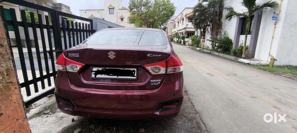 Ciaz Maruti Diesel 2015