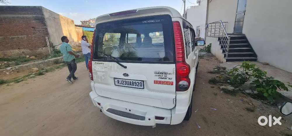 Scokripo 2014 Sale