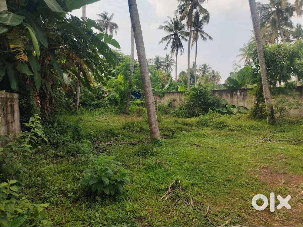 id-k196986-4-8-cent-land-for-sale-at-pattom-lands-plots-1750530529