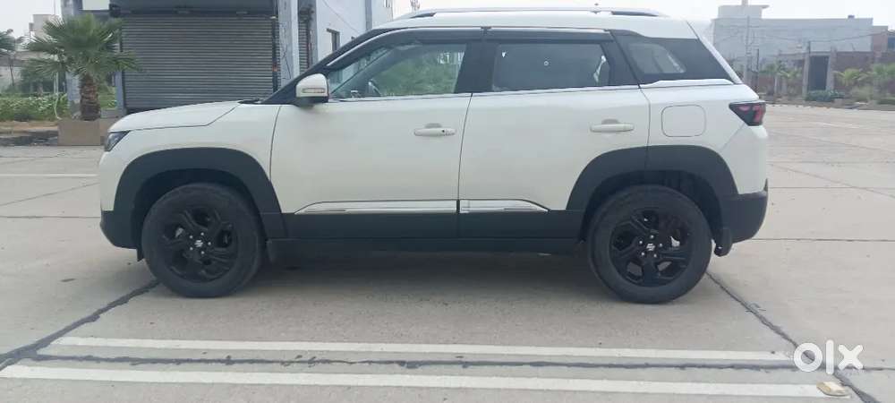 2023 Maruti Suzuki Brezza Zxi Sunroof