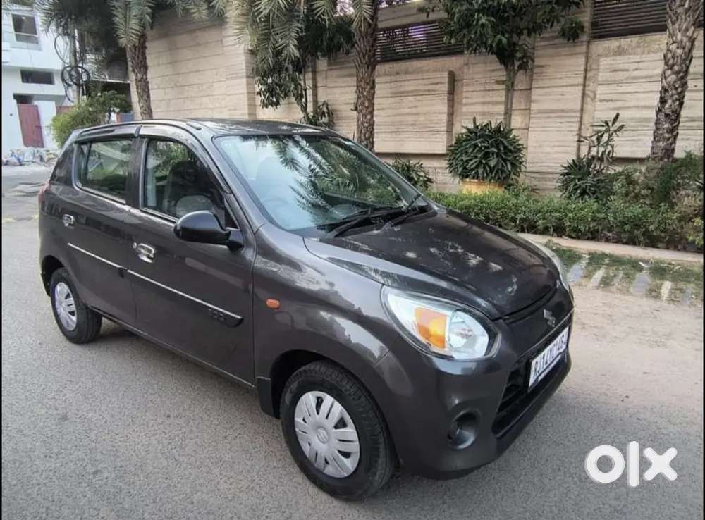 Alto 800 Model 2022