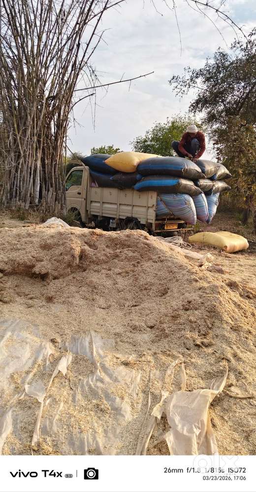 Brand Tata Model Ace Gold Petrol Age 2year