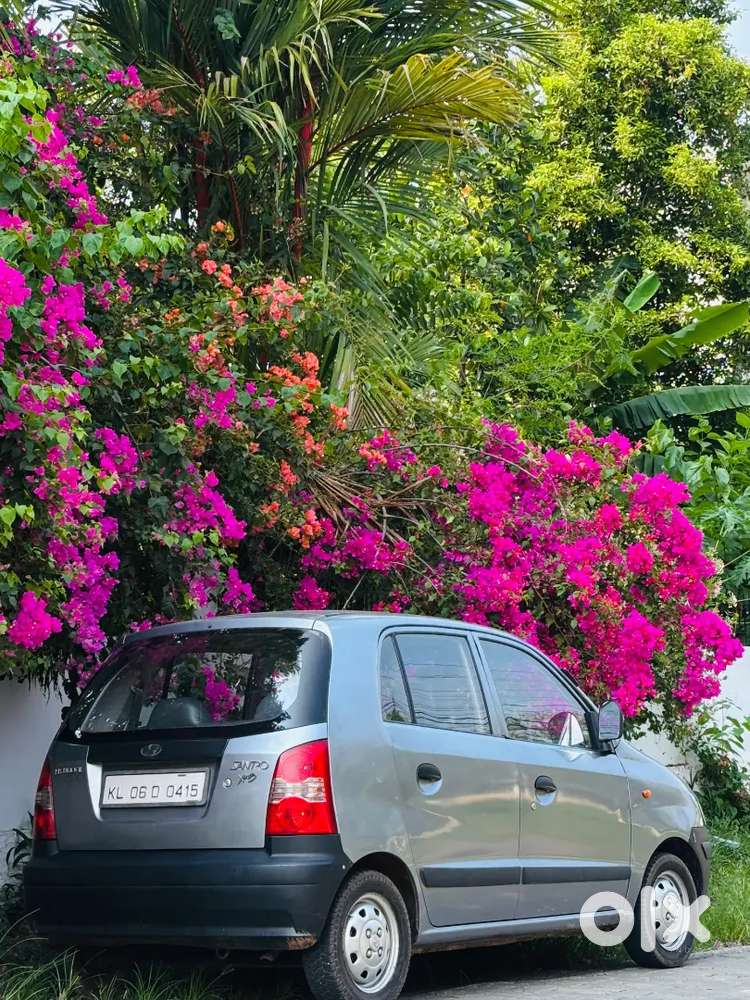 Hyundai Santro Xing 2004 Petrol Good Condition
