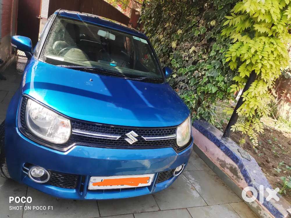 Maruti Suzuki Ignis 2019 Petrol 52 Km Driven