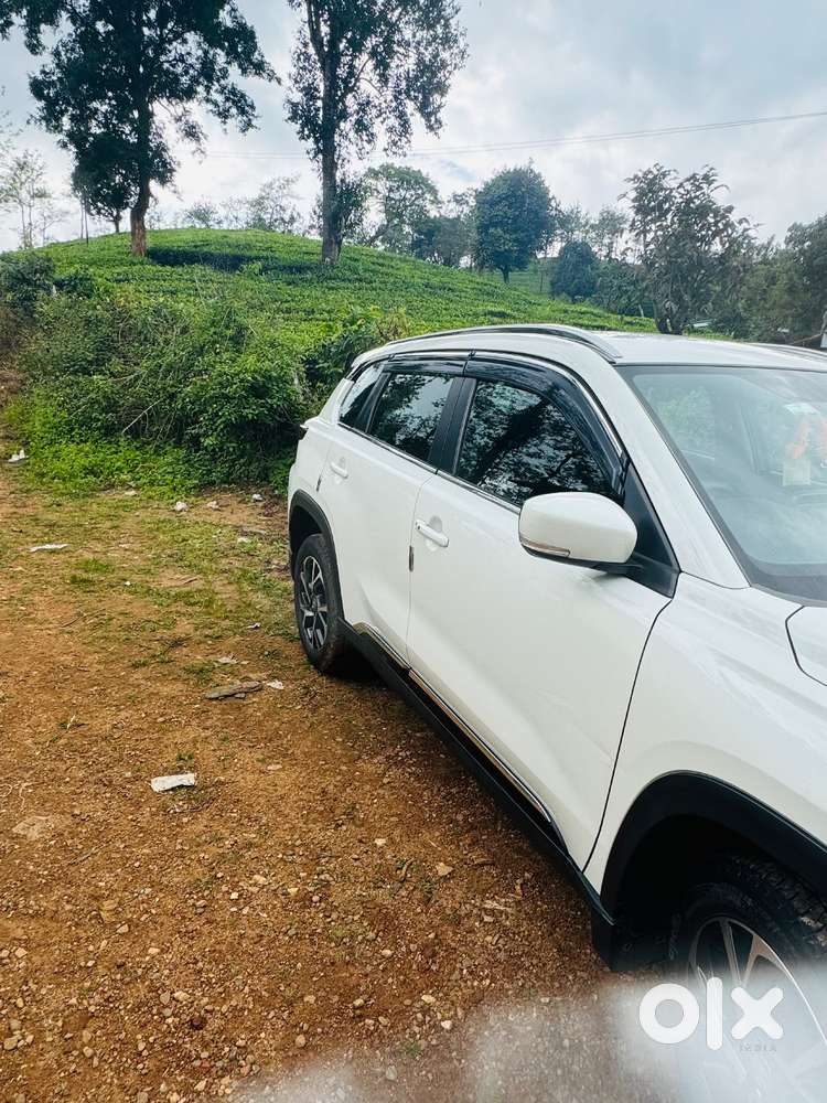 Toyota Urban Cruiser Hyryder Cng With Petrol