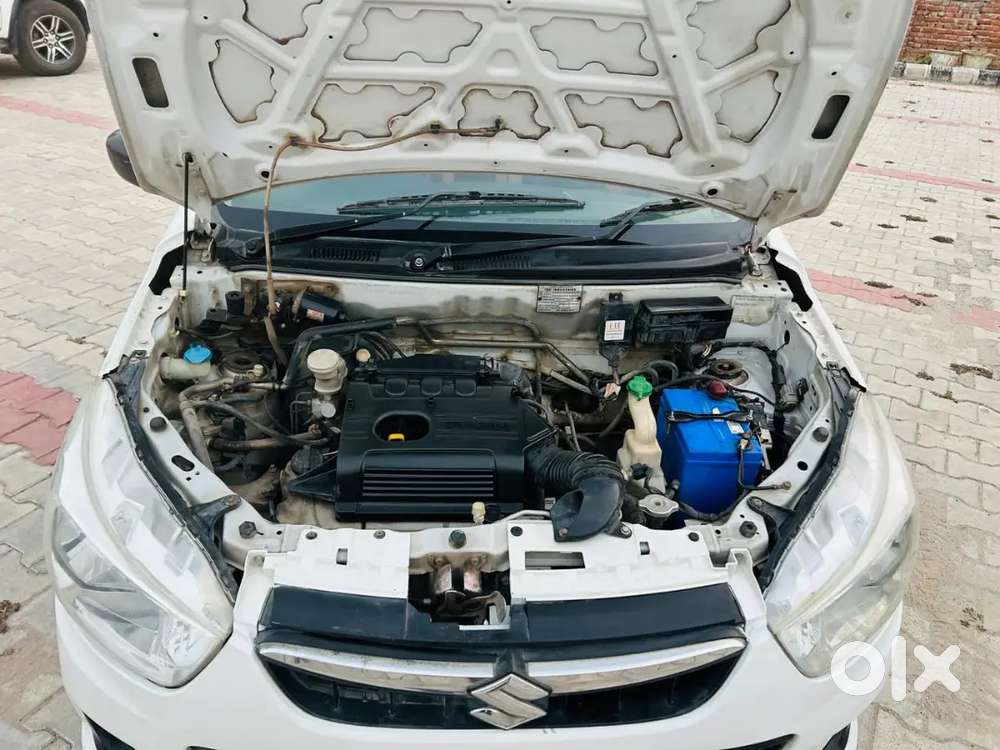 Maruti Suzuki Alto 2016 Model Petrol/cng