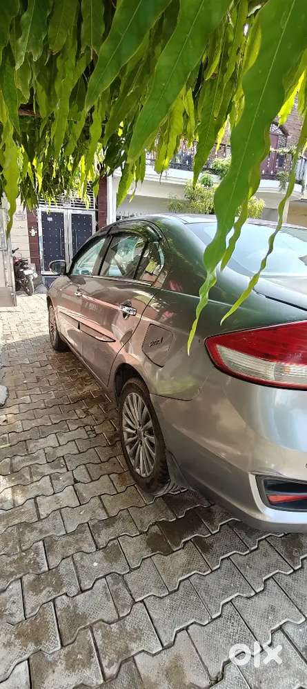 Ciaz Car For Sale