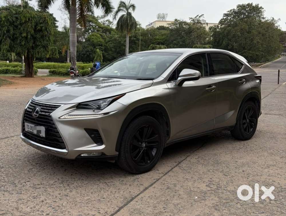 Lexus Nx Lexus-nx-300h-luxury, 2019, Petrol