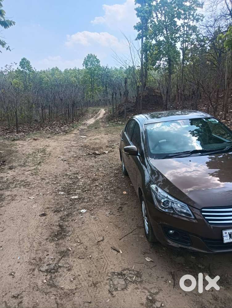 Maruti Suzuki Ciaz 2015
