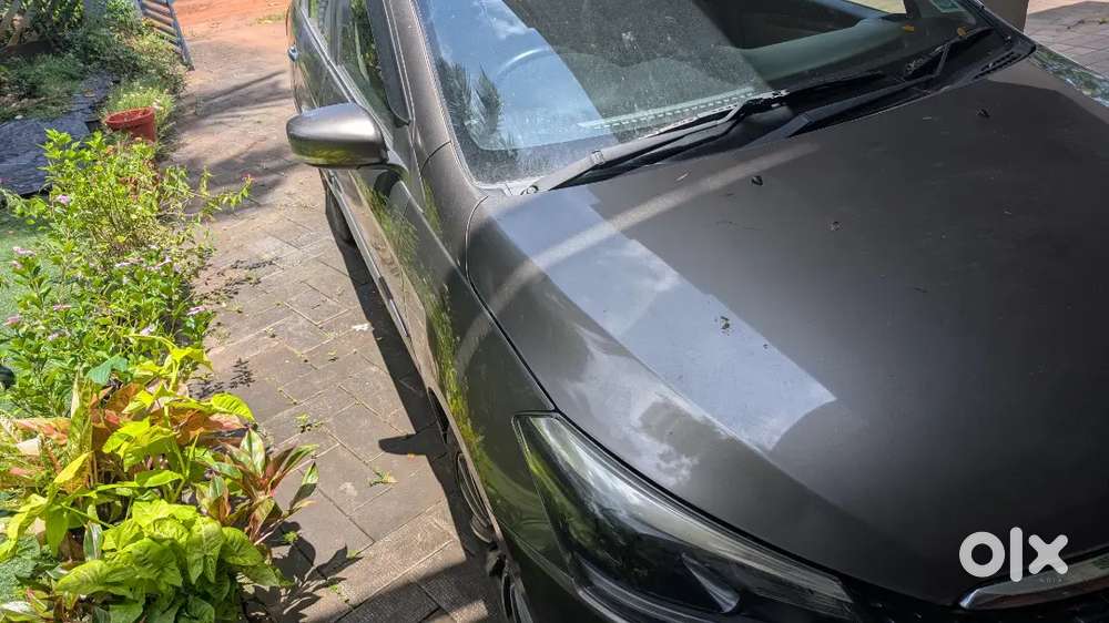 Maruti Suzuki Ciaz 2019 Car