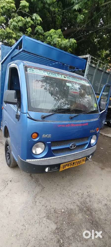 Tata Gold +  Diesel 2023