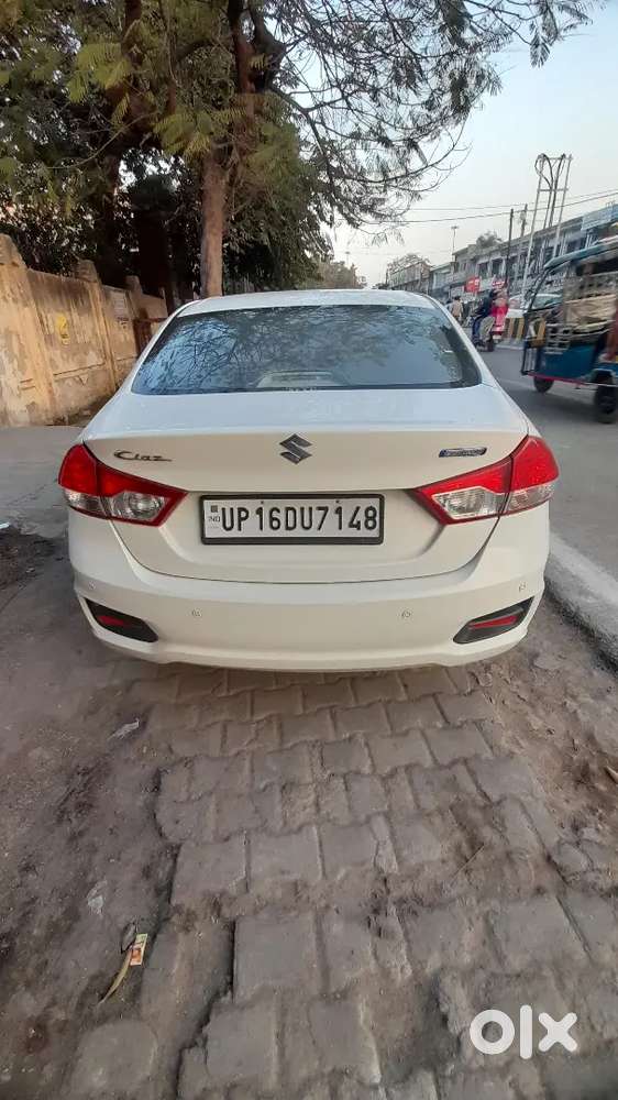 2023 Maruti Suzuki Ciaz 1st Owner