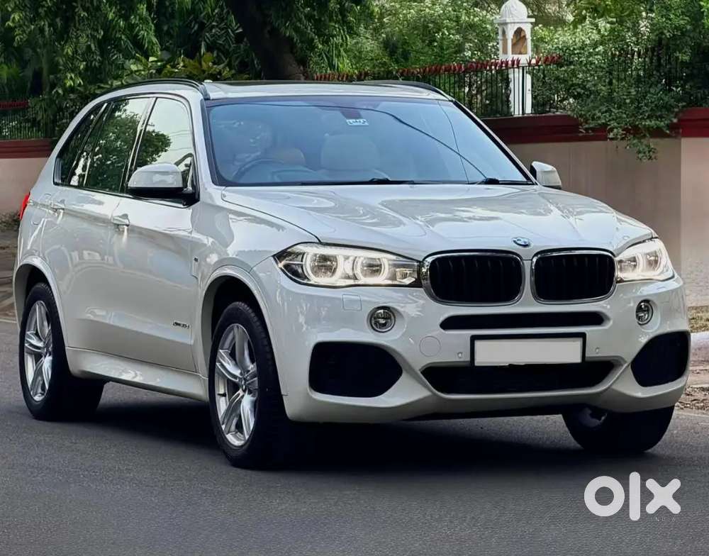 Bmw X5 3.0 2017 Km Driven