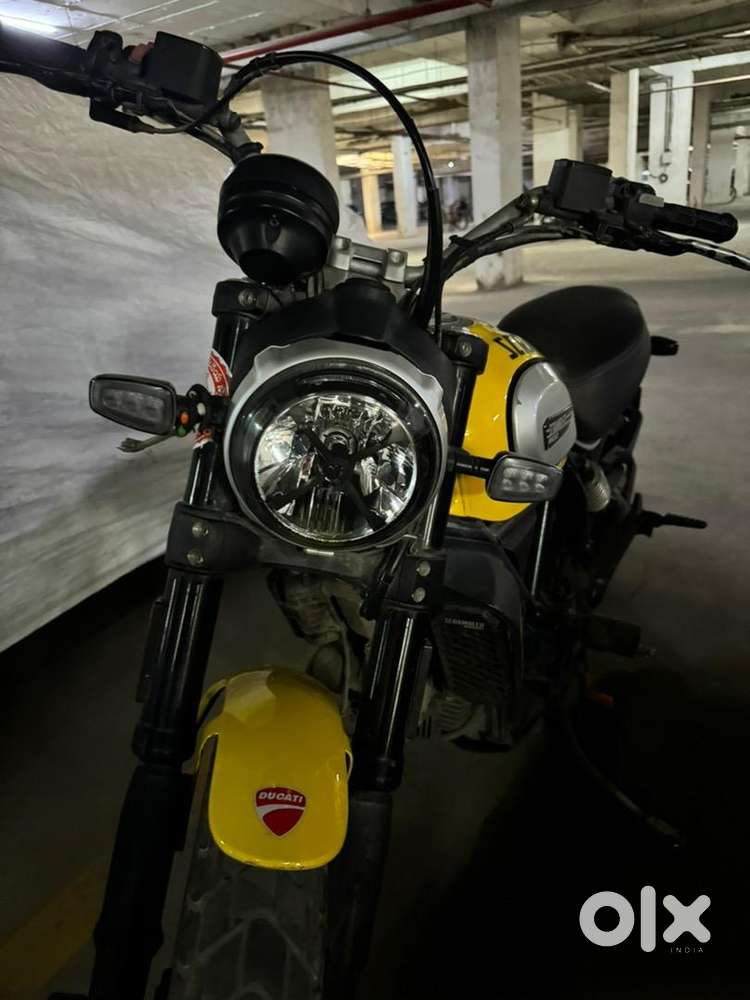 ducati scrambler 803 icon