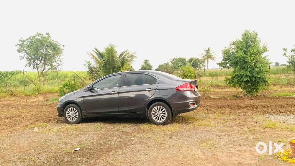 Maruti Suzuki Petrol Manual 2022