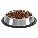 पालतू पशु