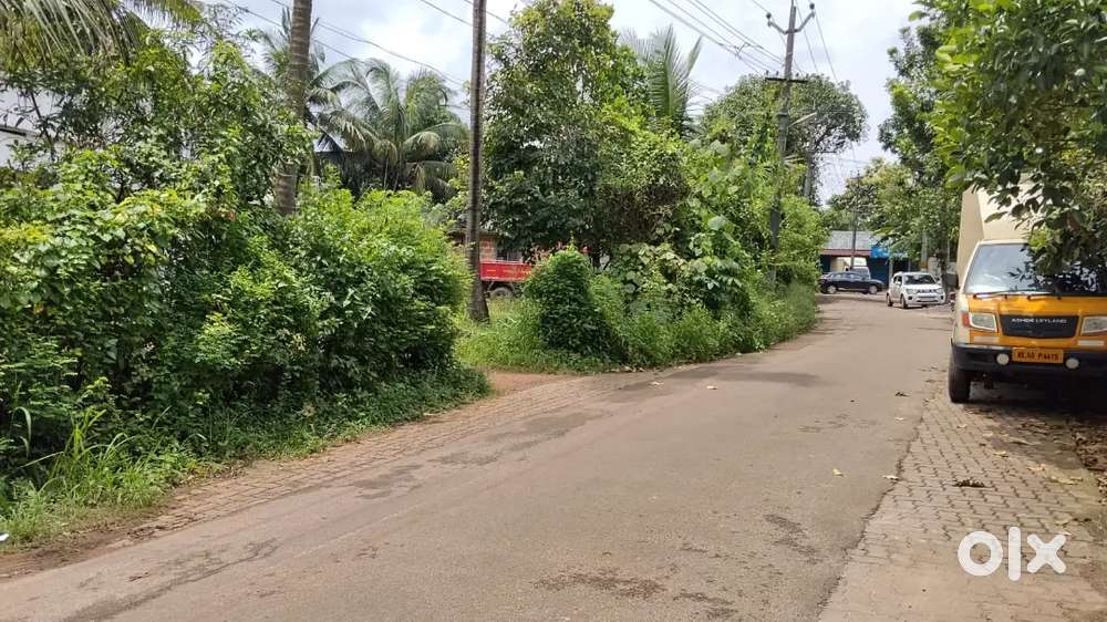 10 cent 2bhk old house aluva kalady road sreemoolanagaram wide tar roa