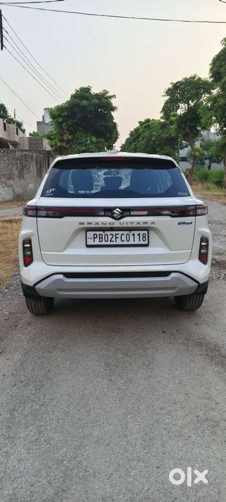 Maruti Suzuki Grand Vitara 1.5 Delta Smart Hybrid, 2025, Petrol