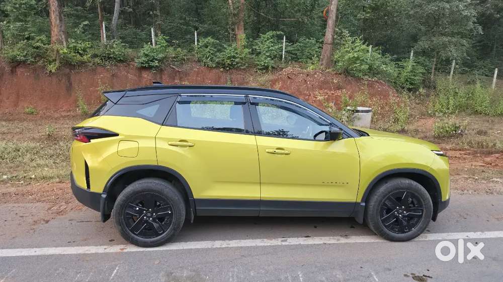 Tata Harrier Fearless 2024 Dual