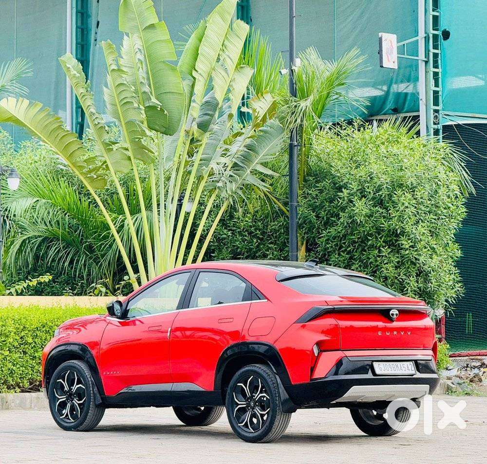 Tata Curvv Accomplished Plus A 1.5 Kryojet Diesel 6mt, 2024, Diesel