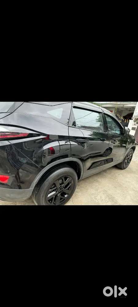 New Car Leni He         New Car