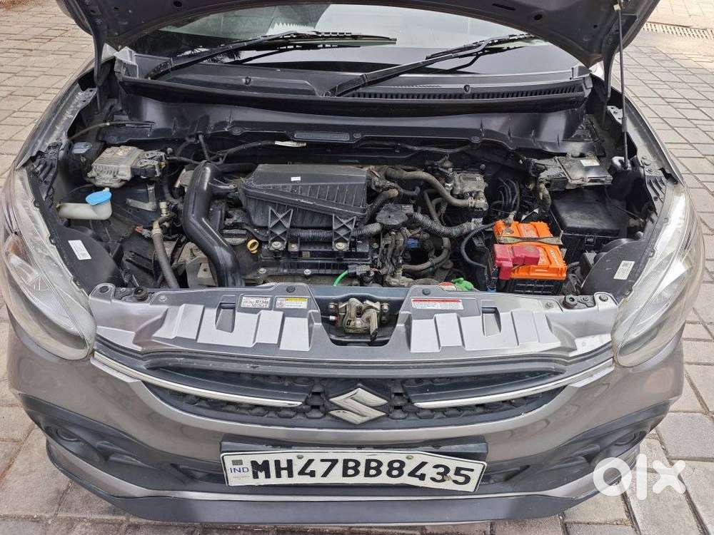 Maruti Suzuki Celerio Cng Vxi Optional, 2022, Petrol