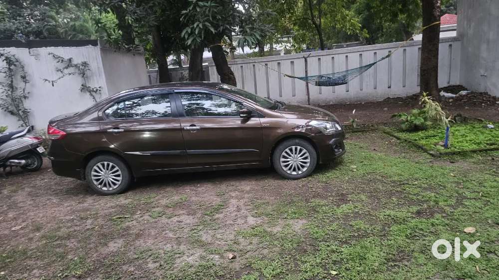 Very Less Driven & Good Condition Ciaz Vxi+