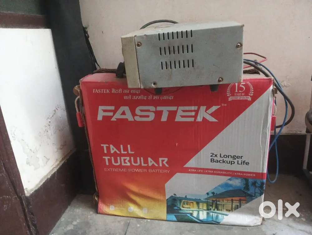 Inverter battery