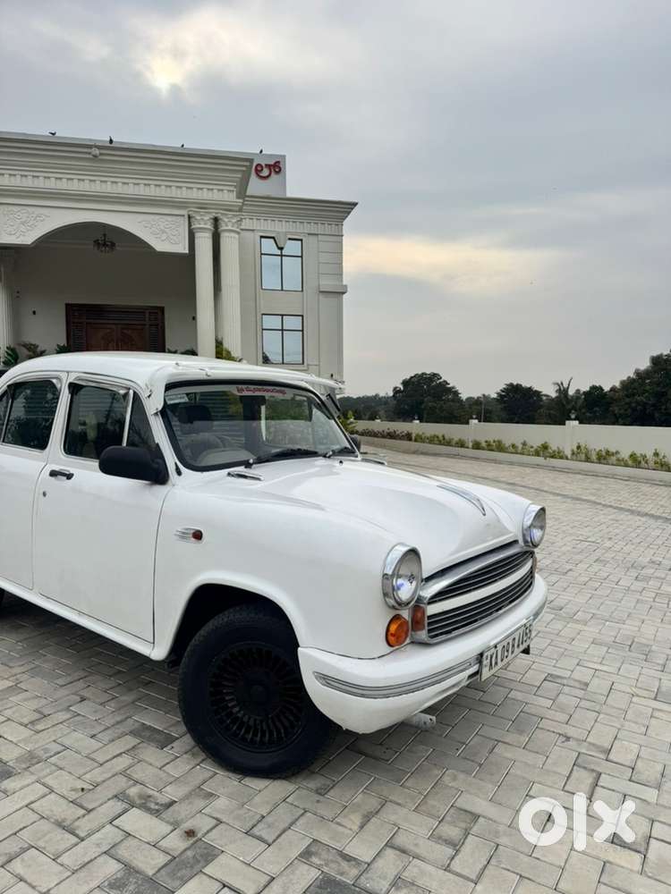 Urgent Sale Ambassdor