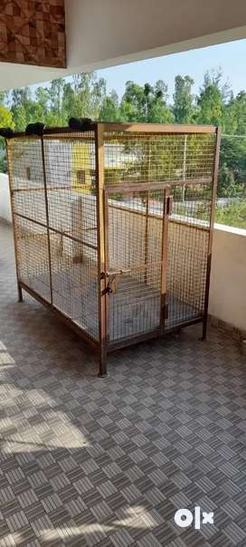 Olx dog best sale kennels for sale