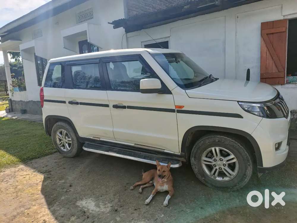 For Sale Emergency