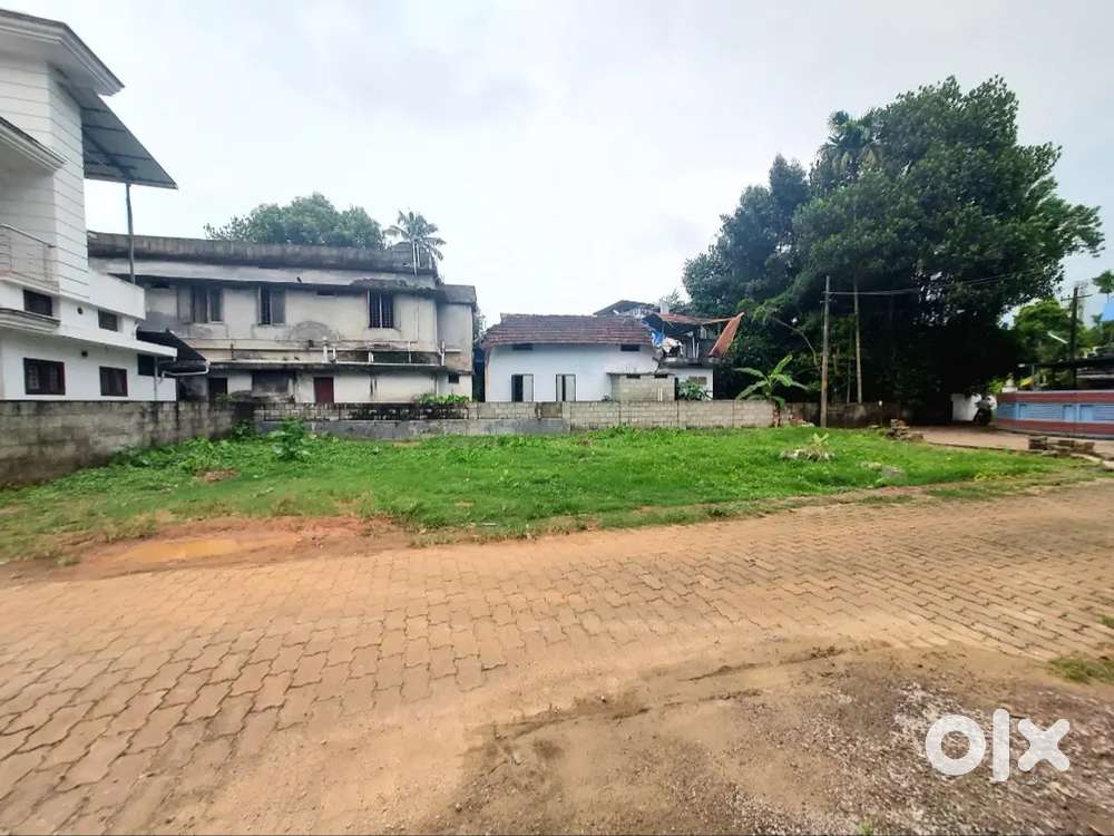 6 cent orginal land for sale in aluva town near kadungallur Lands