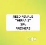 Need part time female spa therapist