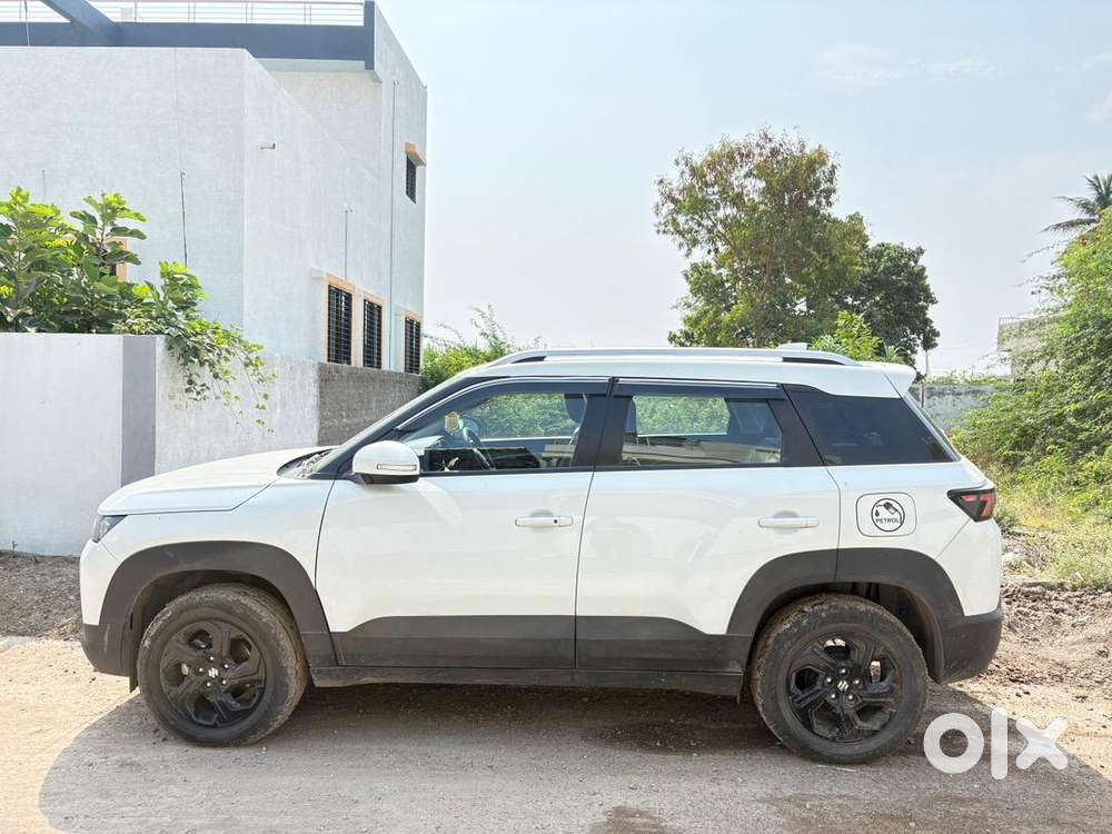 Maruti Suzuki Car 2025
