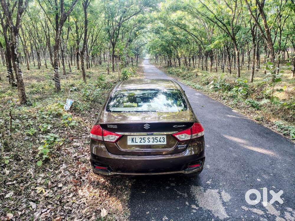 Maruti Suzuki Ciaz Zdi Plus Hybrid For Sale!