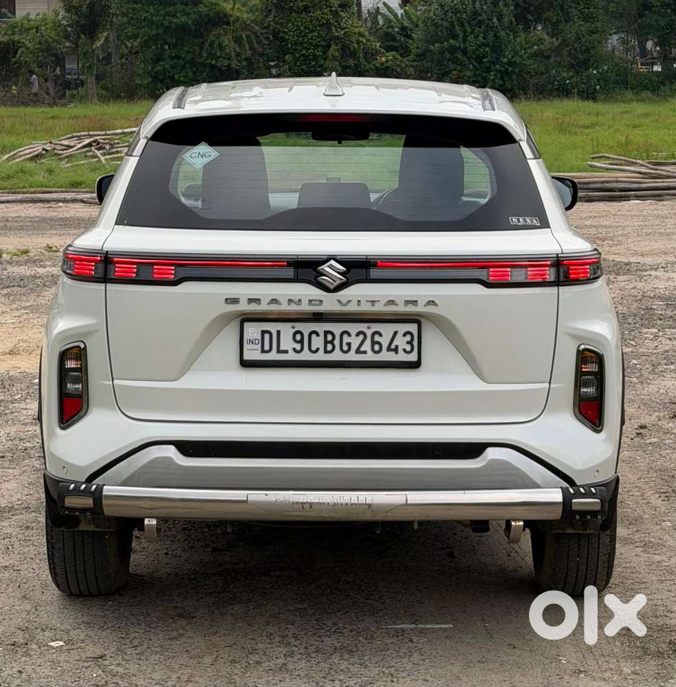 Maruti Suzuki Grand Vitara 1.5 Delta Cng, 2024, Cng & Hybrids