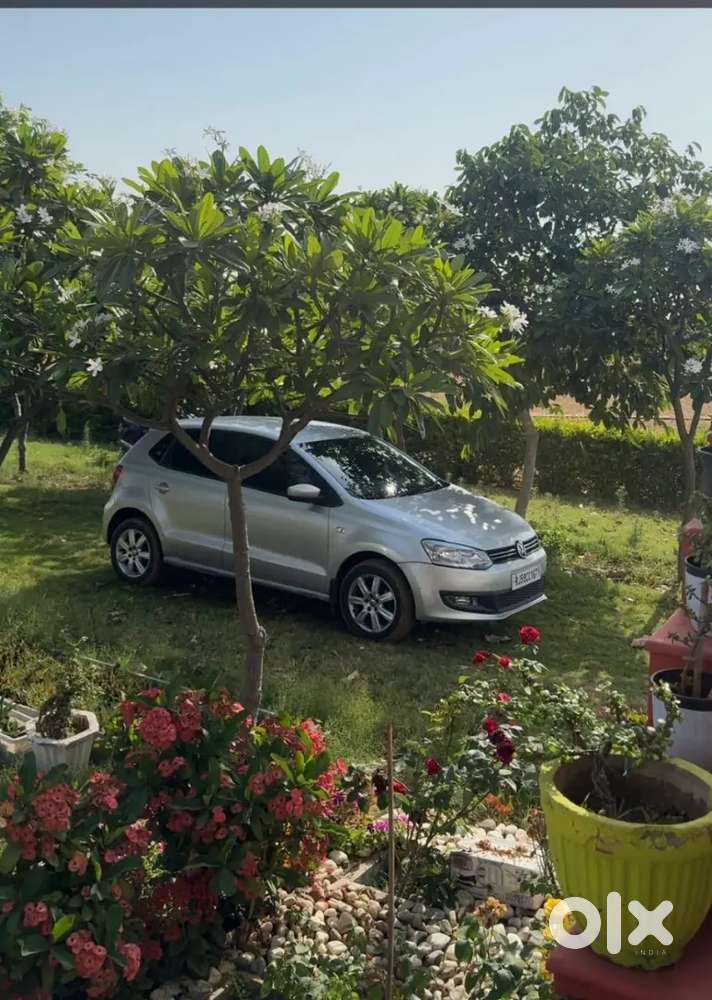 Polo Diesel @2,30,000/-