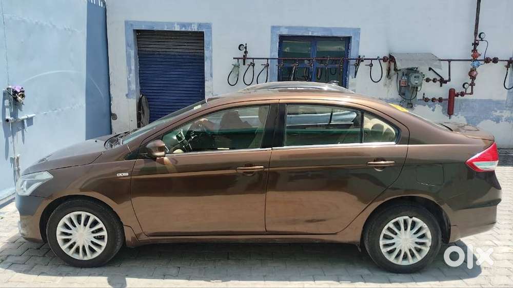 Coffee Brown Ciaz , Excellent Condition